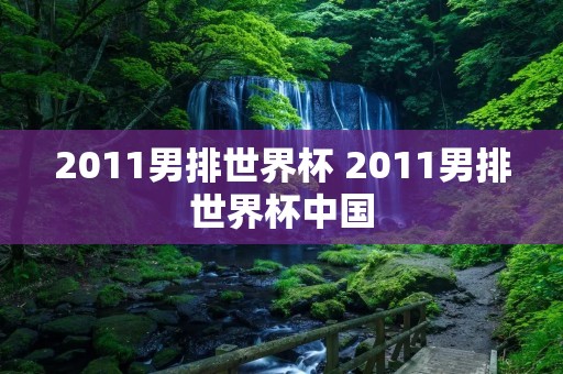 2011男排世界杯 2011男排世界杯中国