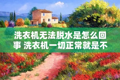 洗衣机无法脱水是怎么回事 洗衣机一切正常就是不能脱水