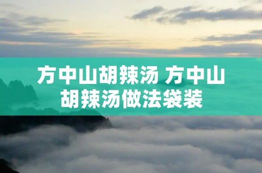 方中山胡辣汤 方中山胡辣汤做法袋装 方中山胡辣汤 方中山胡辣汤做法袋装