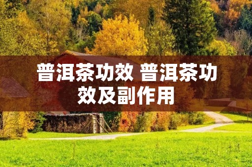 普洱茶功效 普洱茶功效及副作用