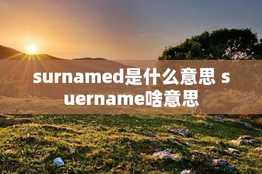 surnamed是什么意思 suername啥意思