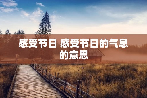 感受节日 感受节日的气息的意思