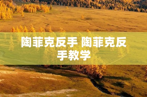 陶菲克反手 陶菲克反手教学 陶菲克反手 陶菲克反手教学