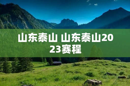 山东泰山 山东泰山2023赛程