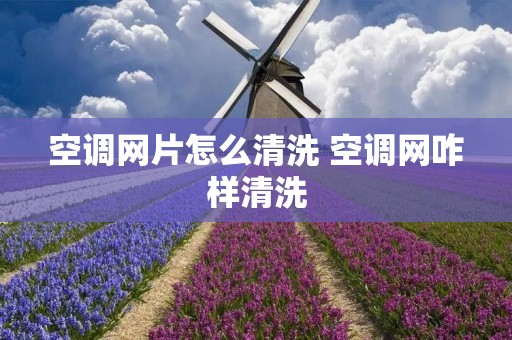 空调网片怎么清洗 空调网咋样清洗