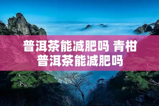 普洱茶能减肥吗 青柑普洱茶能减肥吗