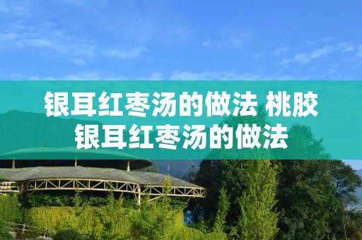 银耳红枣汤的做法 桃胶银耳红枣汤的做法