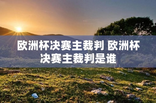 欧洲杯决赛主裁判 欧洲杯决赛主裁判是谁