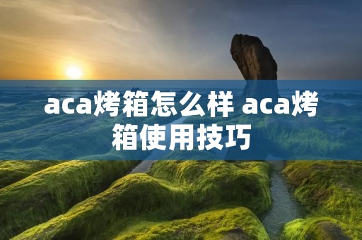 aca烤箱怎么样 aca烤箱使用技巧