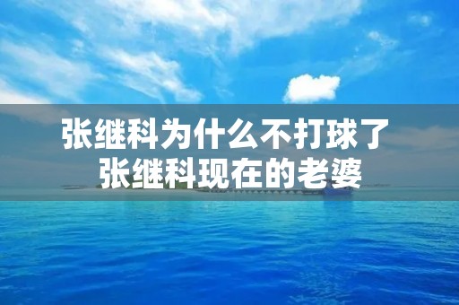 张继科为什么不打球了 张继科现在的老婆