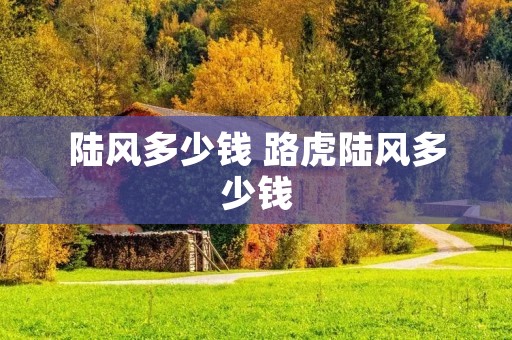 陆风多少钱 路虎陆风多少钱