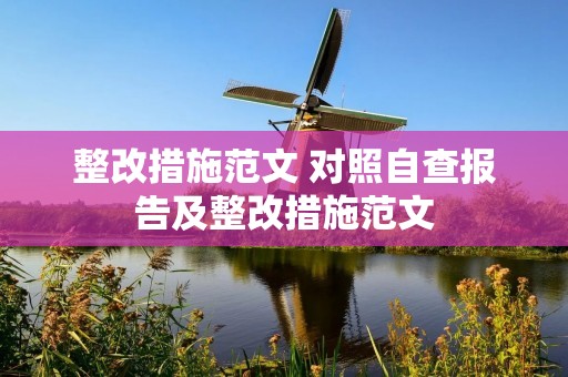 整改措施范文 对照自查报告及整改措施范文