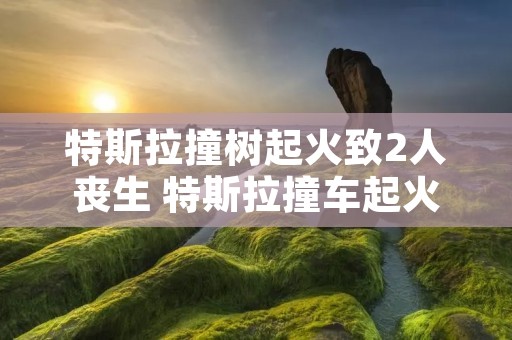 特斯拉撞树起火致2人丧生 特斯拉撞车起火率
