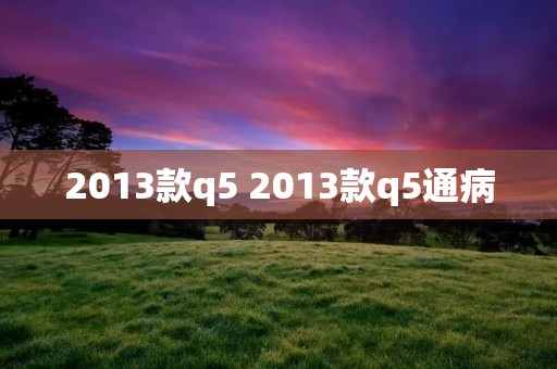 2013款q5 2013款q5通病 2013款q5 2013款q5通病