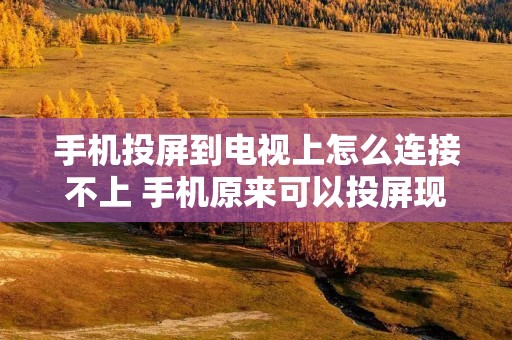 手机投屏到电视上怎么连接不上 手机原来可以投屏现在不能了 手机投屏到电视上怎么连接不上 手机原来可以投屏现在不能了