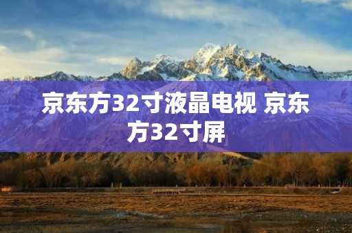 京东方32寸液晶电视 京东方32寸屏