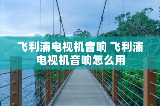 飞利浦电视机音响 飞利浦电视机音响怎么用