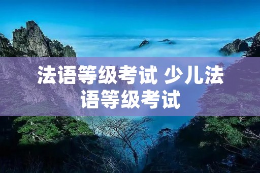 法语等级考试 少儿法语等级考试 法语等级考试 少儿法语等级考试