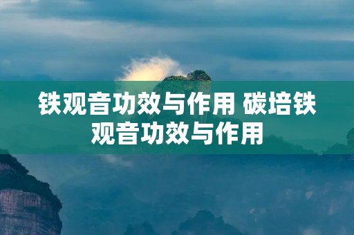 铁观音功效与作用 碳培铁观音功效与作用 铁观音功效与作用 碳培铁观音功效与作用