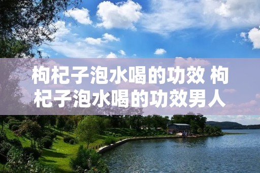 枸杞子泡水喝的功效 枸杞子泡水喝的功效男人