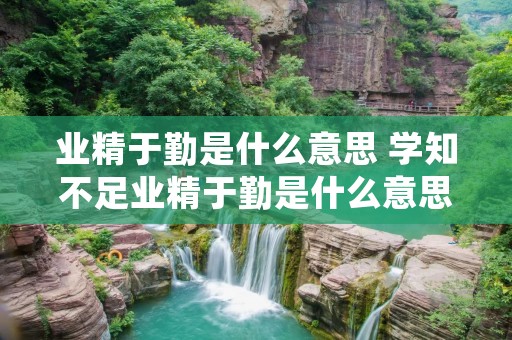 业精于勤是什么意思 学知不足业精于勤是什么意思