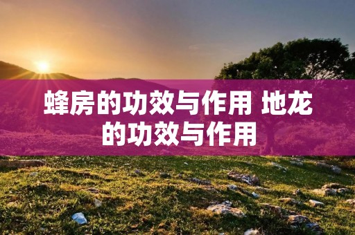 蜂房的功效与作用 地龙的功效与作用