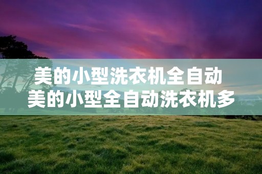 美的小型洗衣机全自动 美的小型全自动洗衣机多少钱一台