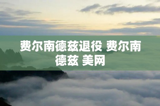 费尔南德兹退役 费尔南德兹 美网