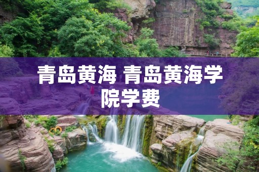 青岛黄海 青岛黄海学院学费