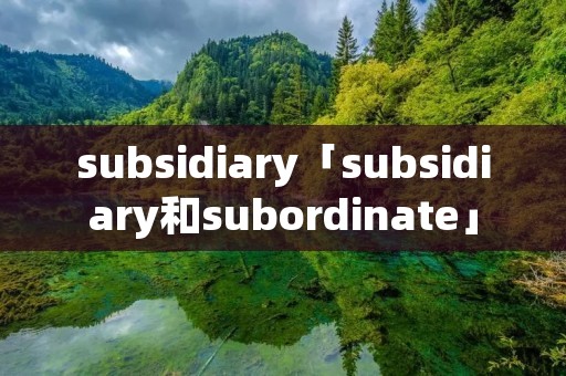 subsidiary「subsidiary和subordinate」