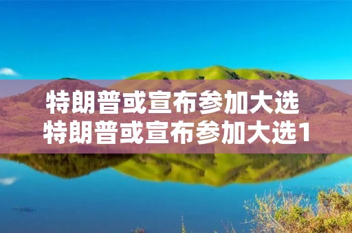 特朗普或宣布参加大选 特朗普或宣布参加大选1