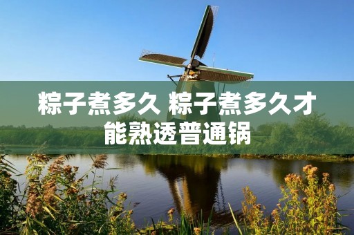 粽子煮多久 粽子煮多久才能熟透普通锅 粽子煮多久 粽子煮多久才能熟透普通锅
