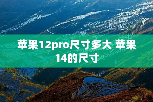 苹果12pro尺寸多大 苹果14的尺寸