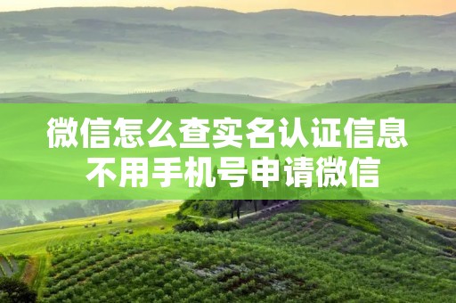 微信怎么查实名认证信息 不用手机号申请微信