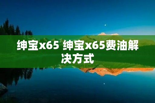 绅宝x65 绅宝x65费油解决方式