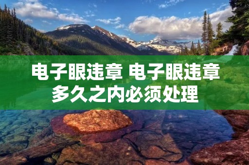电子眼违章 电子眼违章多久之内必须处理