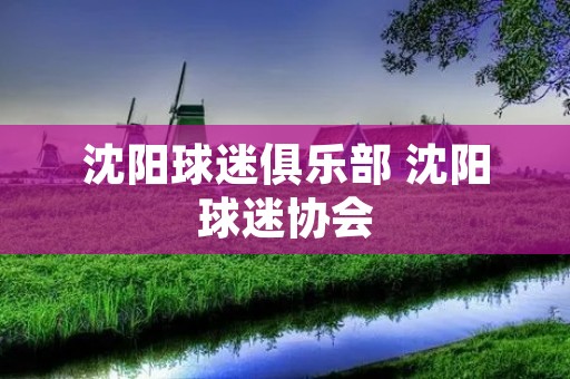 沈阳球迷俱乐部 沈阳球迷协会