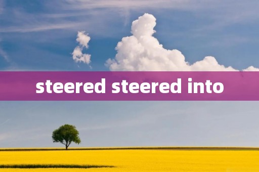 steered steered into