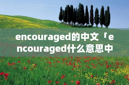encouraged的中文「encouraged什么意思中文」