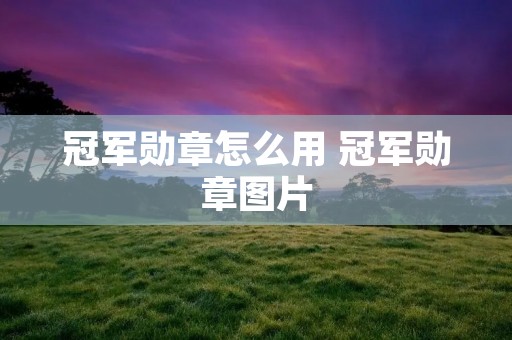 冠军勋章怎么用 冠军勋章图片