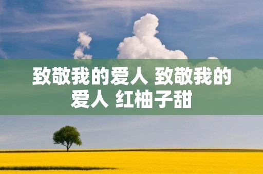 致敬我的爱人 致敬我的爱人 红柚子甜