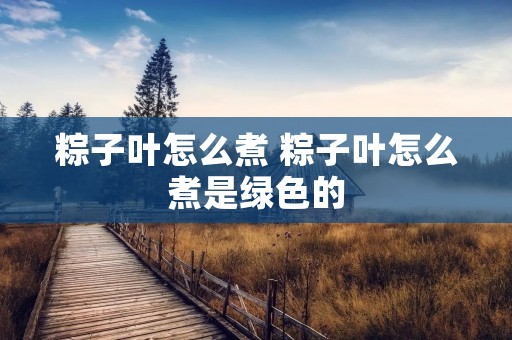 粽子叶怎么煮 粽子叶怎么煮是绿色的