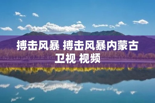 搏击风暴 搏击风暴内蒙古卫视 视频