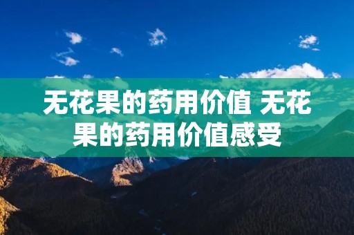 无花果的药用价值 无花果的药用价值感受