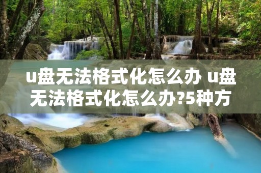 u盘无法格式化怎么办 u盘无法格式化怎么办?5种方法完美解决