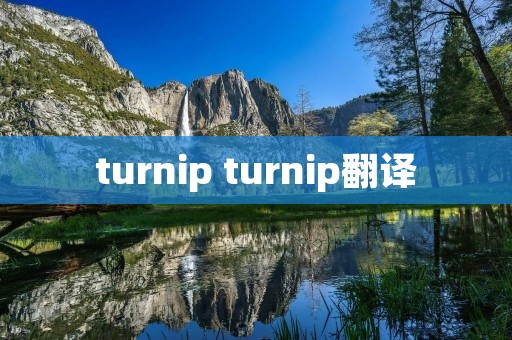turnip turnip翻译