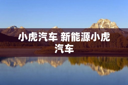 小虎汽车 新能源小虎汽车