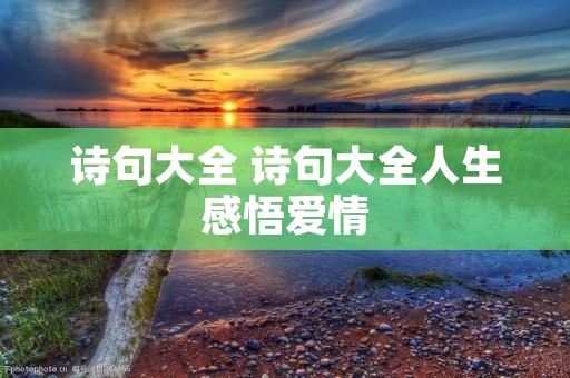 诗句大全 诗句大全人生感悟爱情