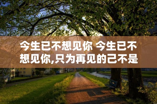 今生已不想见你 今生已不想见你,只为再见的己不是你,是什么意思
