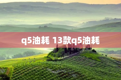 q5油耗 13款q5油耗